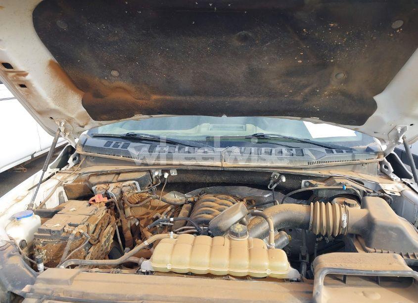 Photo 10 of 2019 Ford F-150 XLT (VIN 1FTEW1E53KKE91556)