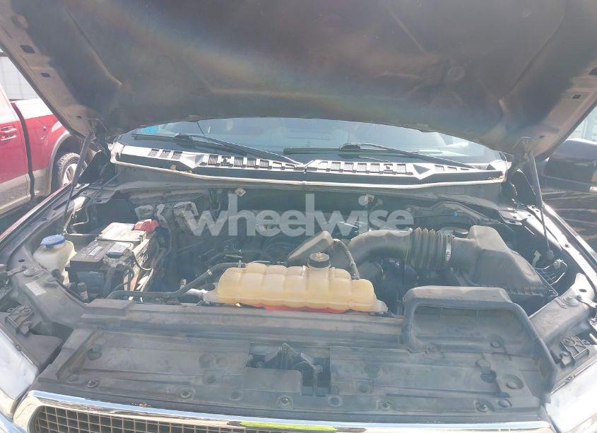 Photo 10 of 2019 Ford F-150 KING RANCH (VIN 1FTEW1E54KFA52729)