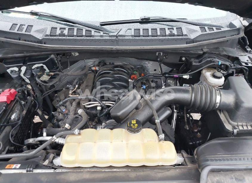 Photo 10 of 2019 Ford F-150 XLT (VIN 1FTEW1E54KFC28162)