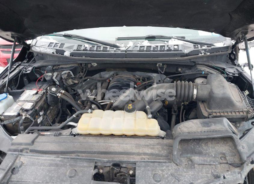 Photo 10 of 2019 Ford F-150 XLT (VIN 1FTEW1E55KFA65876)