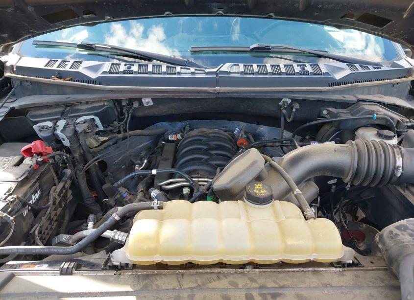 Photo 10 of 2019 Ford F-150 XL (VIN 1FTEW1E55KFC40028)