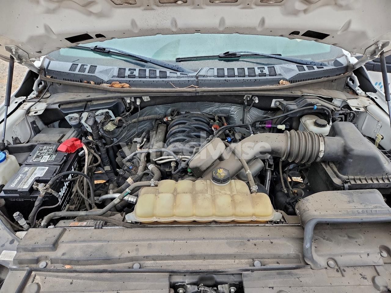 Photo 11 of 2019 FORD F150 SUPERCREW (VIN 1FTEW1E55KKD30660)