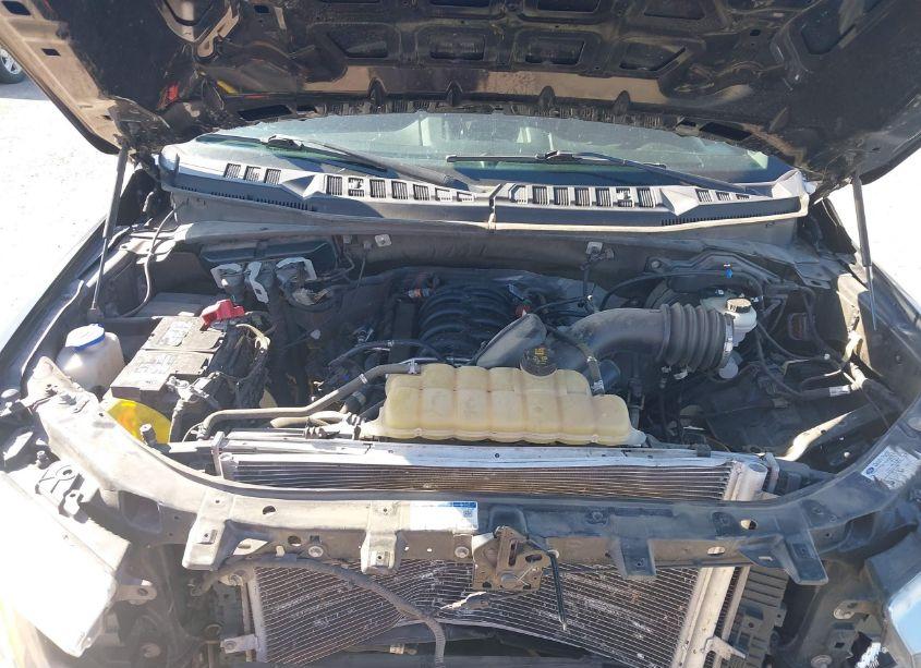 Photo 10 of 2020 Ford F-150 XL (VIN 1FTEW1E55LKD55219)