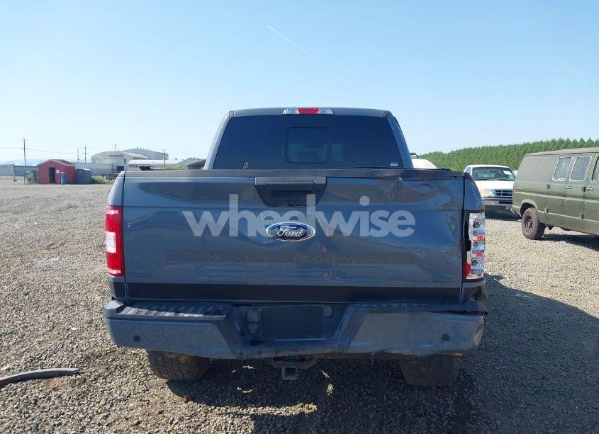 Photo 16 of 2019 Ford F-150 XLT (VIN 1FTEW1E56KFB06998)