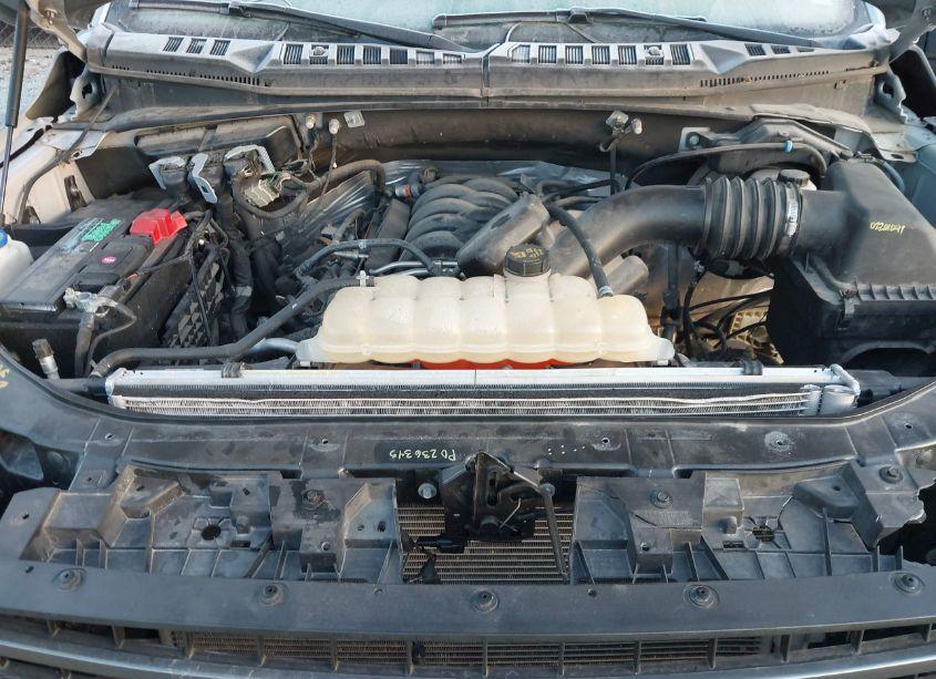 Photo 10 of 2020 Ford F-150 XLT (VIN 1FTEW1E57LKD78307)