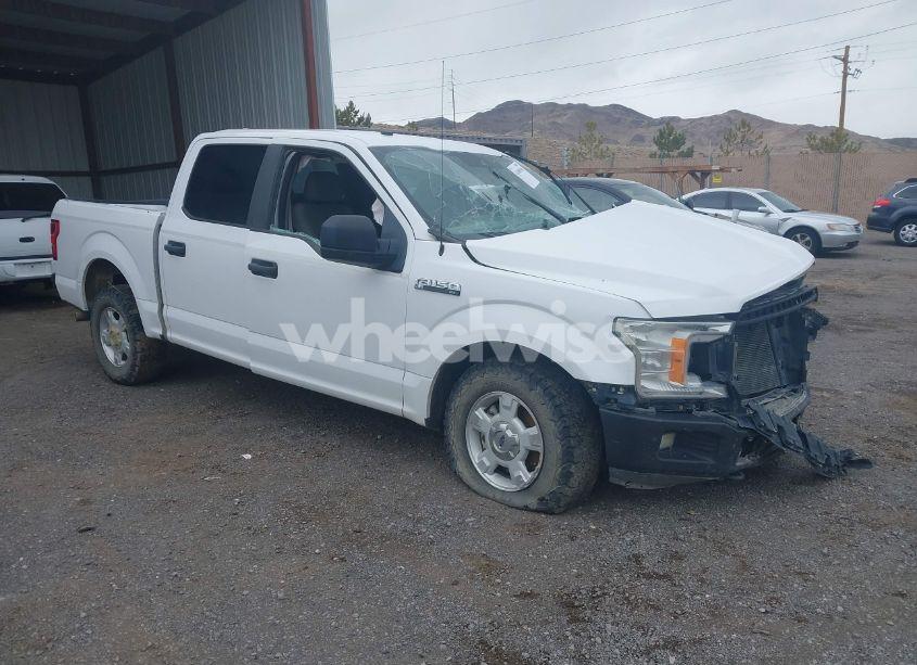 2019 Ford F-150 XL (VIN 1FTEW1E58KKD51938) main photo