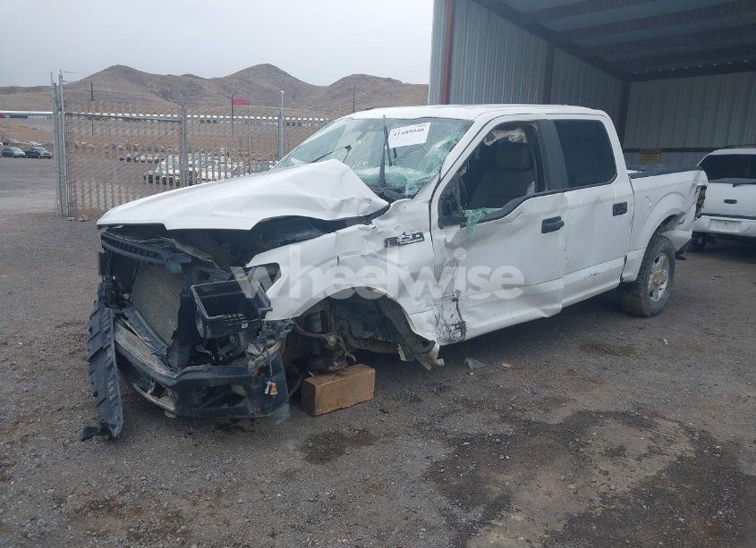 Photo 2 of 2019 Ford F-150 XL (VIN 1FTEW1E58KKD51938)