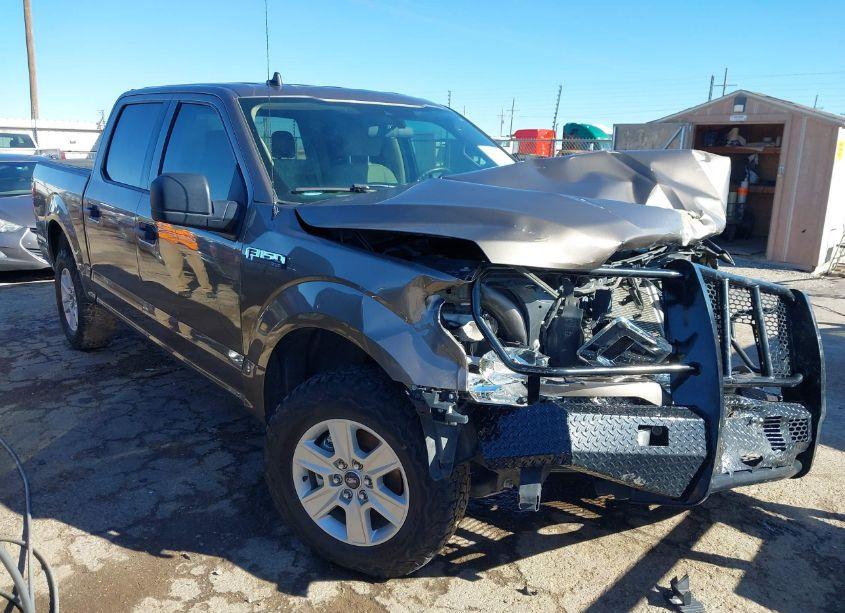 2020 Ford F-150 XLT (VIN 1FTEW1E58LKF46584) main photo