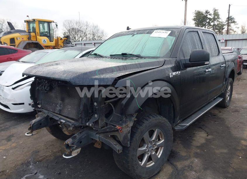 2019 Ford F-150 XLT (VIN 1FTEW1E59KFC88499) main photo