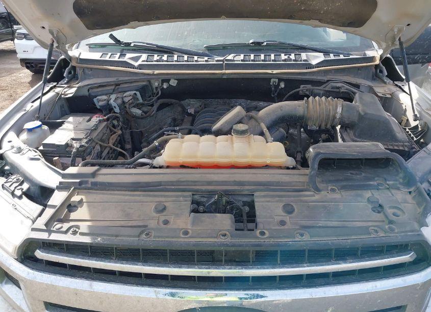 Photo 10 of 2019 Ford F-150 XL (VIN 1FTEW1E59KKC10151)