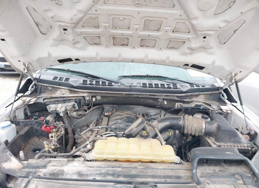 Photo 10 of 2019 Ford F-150 XL (VIN 1FTEW1E59KKE84191)