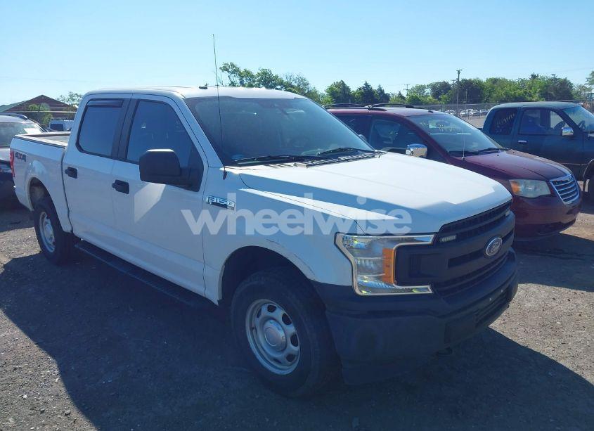 2019 Ford F-150 XL (VIN 1FTEW1E59KKF30750) main photo