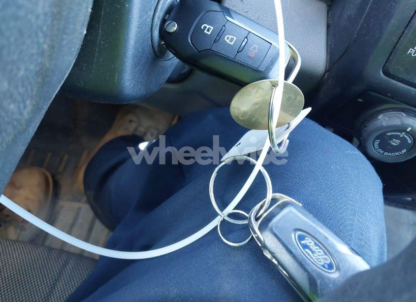 Photo 11 of 2019 Ford F-150 XL (VIN 1FTEW1E59KKF30750)