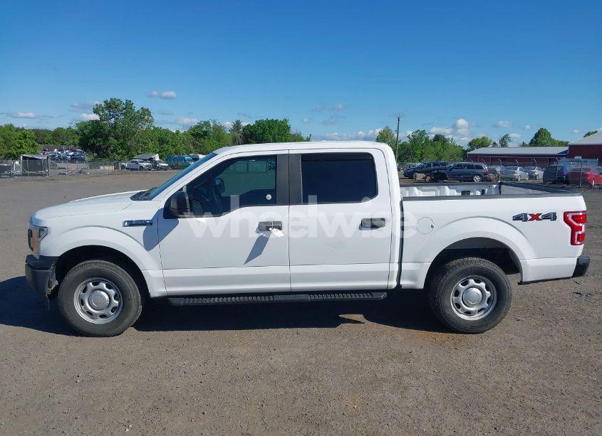 Photo 14 of 2019 Ford F-150 XL (VIN 1FTEW1E59KKF30750)