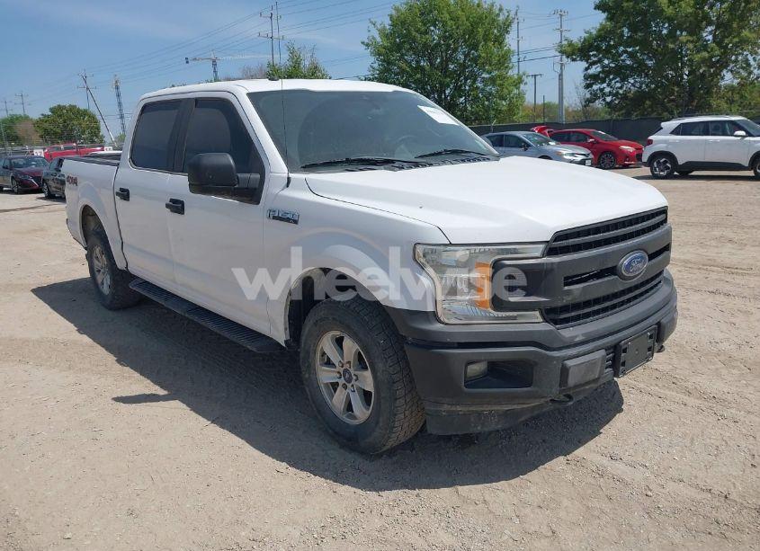 2019 Ford F-150 XL (VIN 1FTEW1E5XKKC41392) main photo