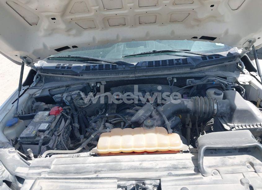 Photo 10 of 2019 Ford F-150 XL (VIN 1FTEW1E5XKKC41392)