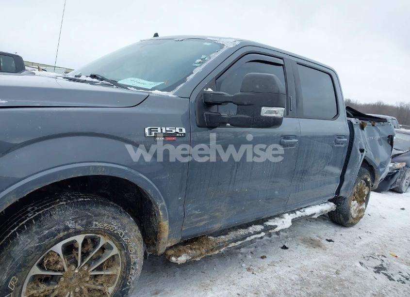 Photo 14 of 2019 Ford F-150 XLT (VIN 1FTEW1E5XKKE31385)