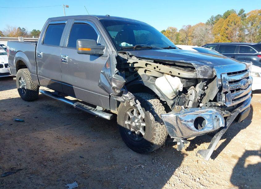 2010 Ford F-150 XL/XLT (VIN 1FTEW1E80AFA96364) main photo