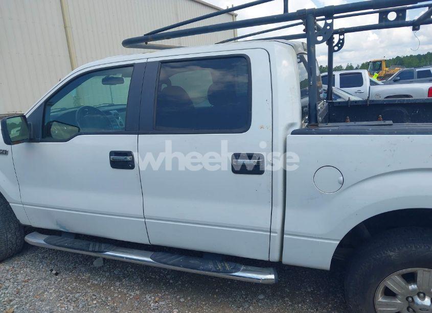 Photo 13 of 2010 Ford F-150 XLT (VIN 1FTEW1E80AKA75716)