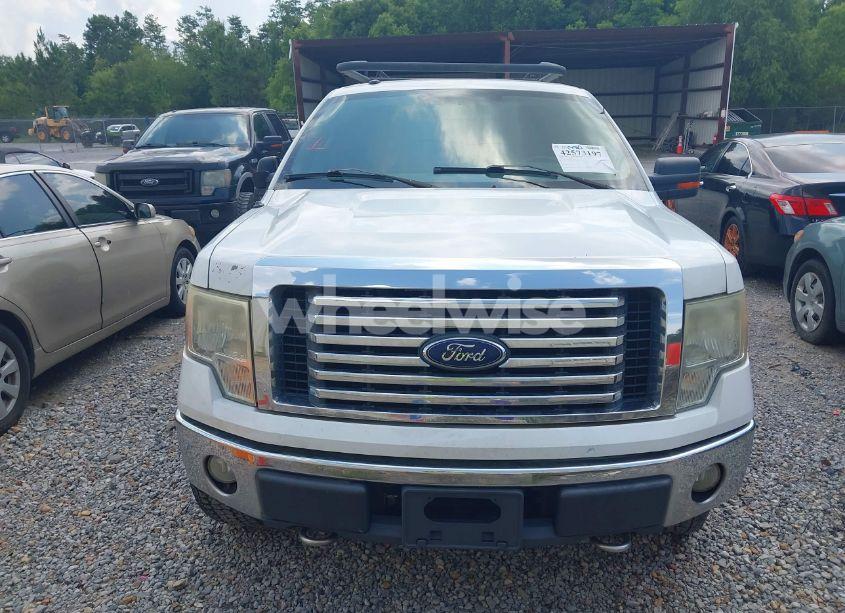 Photo 6 of 2010 Ford F-150 XLT (VIN 1FTEW1E80AKA75716)