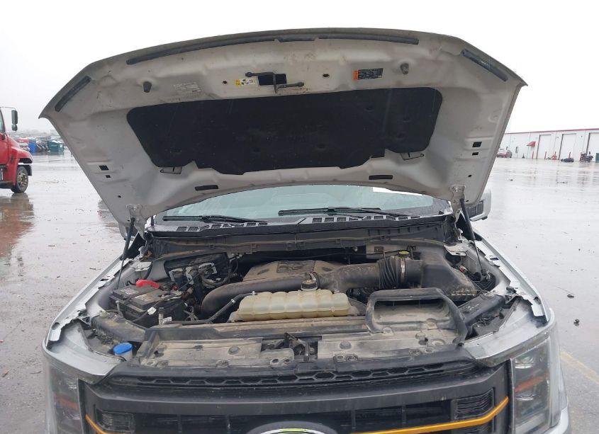 Photo 10 of 2021 Ford F-150 TREMOR (VIN 1FTEW1E80MFC31279)