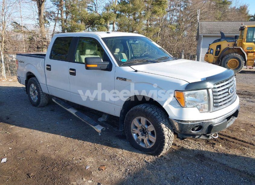 2010 Ford F-150 XL/XLT (VIN 1FTEW1E81AFD75435) main photo