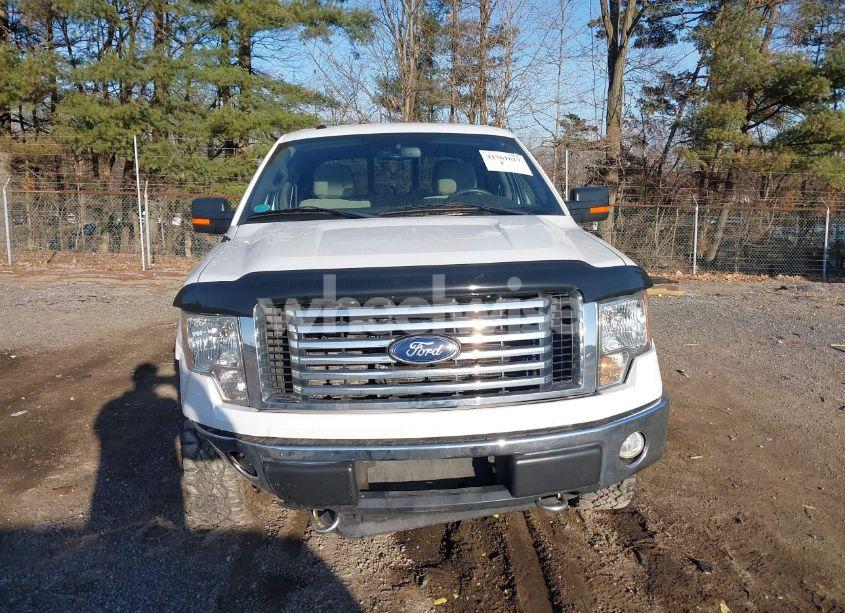 Photo 13 of 2010 Ford F-150 XL/XLT (VIN 1FTEW1E81AFD75435)