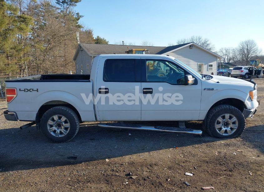 Photo 14 of 2010 Ford F-150 XL/XLT (VIN 1FTEW1E81AFD75435)