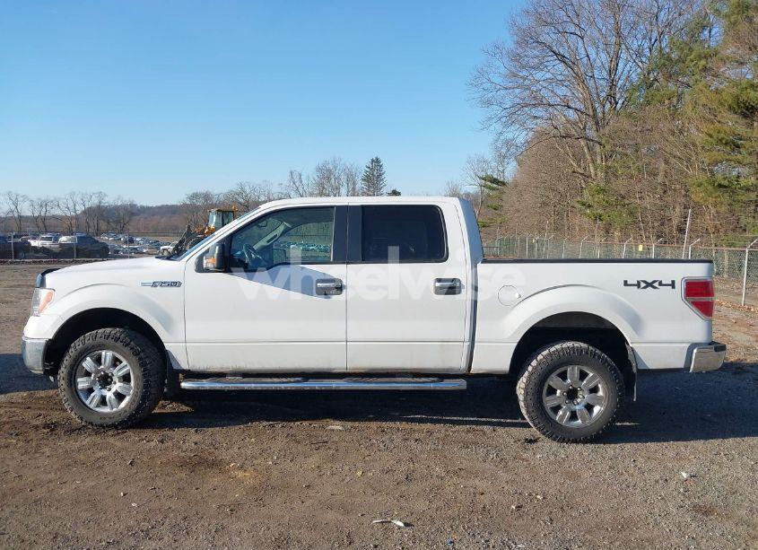 Photo 15 of 2010 Ford F-150 XL/XLT (VIN 1FTEW1E81AFD75435)