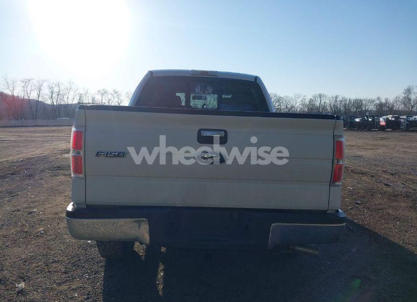 Photo 17 of 2010 Ford F-150 XL/XLT (VIN 1FTEW1E81AFD75435)