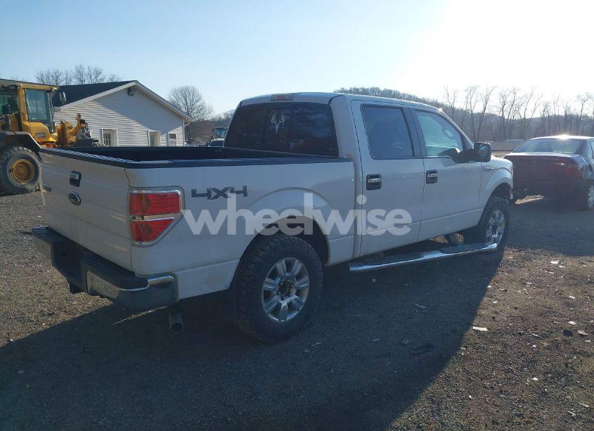 Photo 4 of 2010 Ford F-150 XL/XLT (VIN 1FTEW1E81AFD75435)