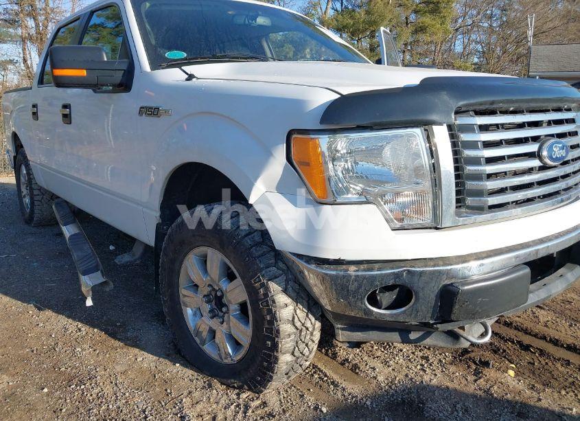 Photo 6 of 2010 Ford F-150 XL/XLT (VIN 1FTEW1E81AFD75435)