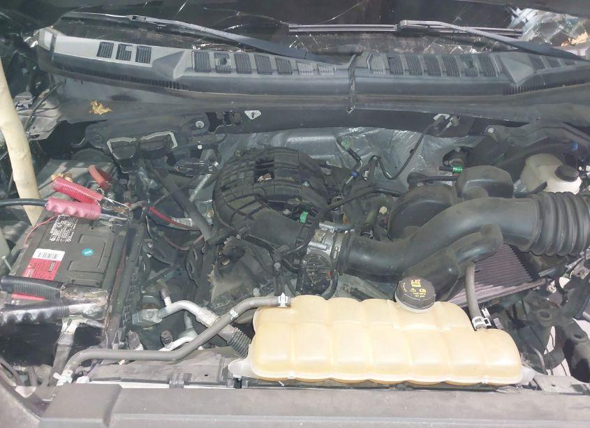 Photo 10 of 2015 Ford F-150 XLT (VIN 1FTEW1E81FFB98506)