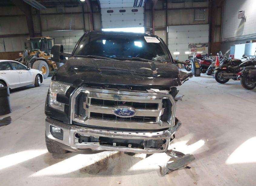 Photo 13 of 2015 Ford F-150 XLT (VIN 1FTEW1E81FFB98506)