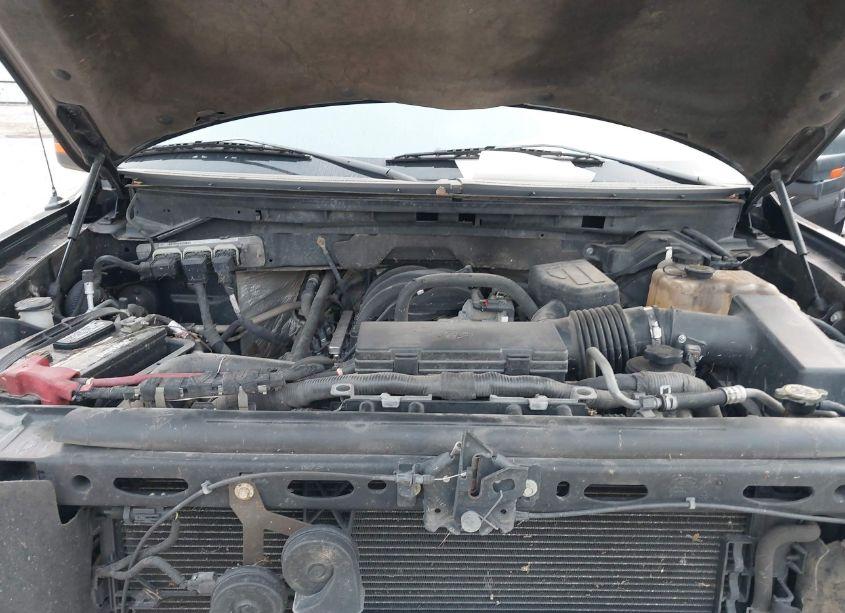 Photo 10 of 2010 Ford F-150 XLT (VIN 1FTEW1E82AFA26204)