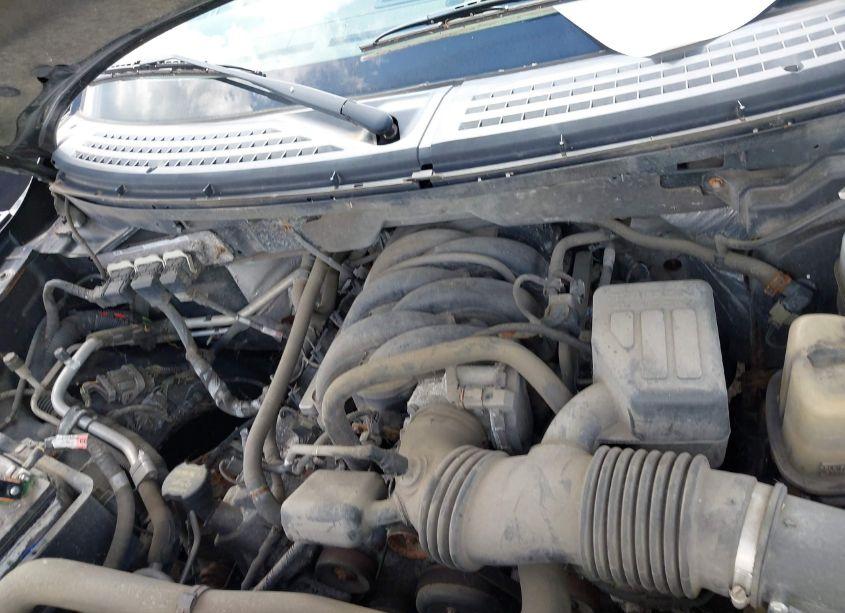 Photo 10 of 2010 Ford F-150 XL/XLT (VIN 1FTEW1E82AFC77224)