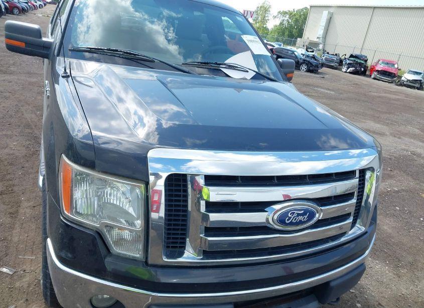 Photo 6 of 2010 Ford F-150 XL/XLT (VIN 1FTEW1E82AFC77224)