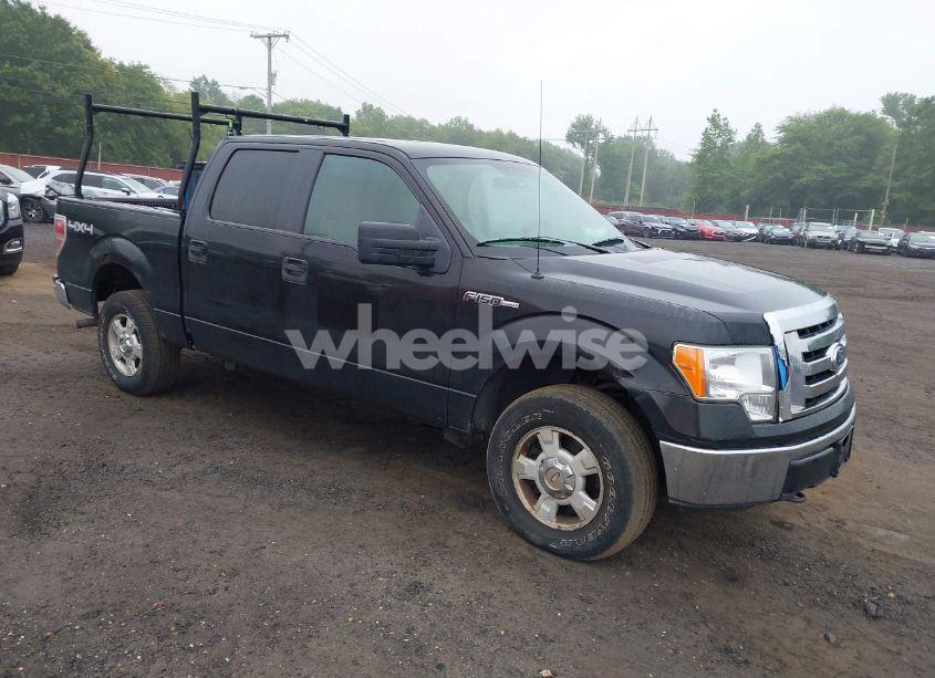 2010 Ford F-150 XL/XLT (VIN 1FTEW1E84AFA54957) main photo