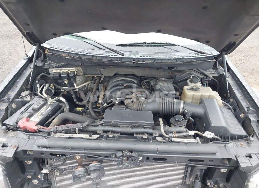 Photo 10 of 2010 Ford F-150 XL/XLT (VIN 1FTEW1E84AFA54957)