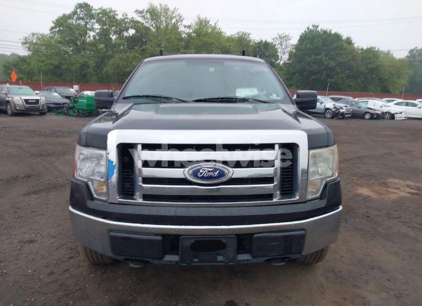 Photo 12 of 2010 Ford F-150 XL/XLT (VIN 1FTEW1E84AFA54957)