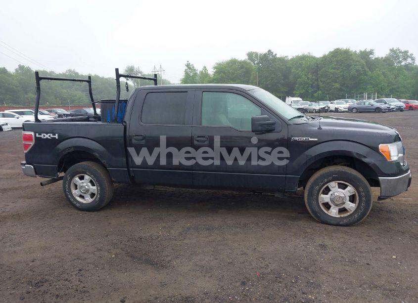 Photo 13 of 2010 Ford F-150 XL/XLT (VIN 1FTEW1E84AFA54957)