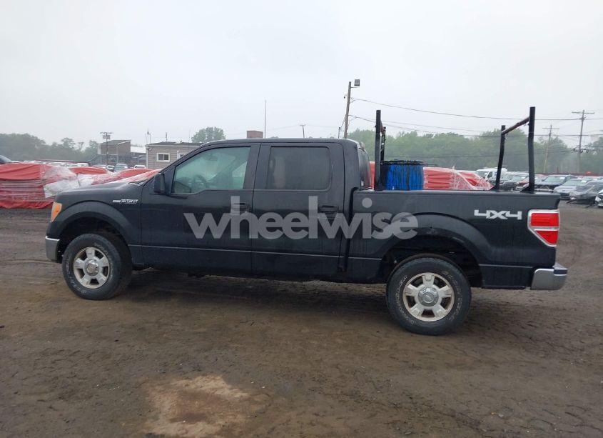 Photo 14 of 2010 Ford F-150 XL/XLT (VIN 1FTEW1E84AFA54957)