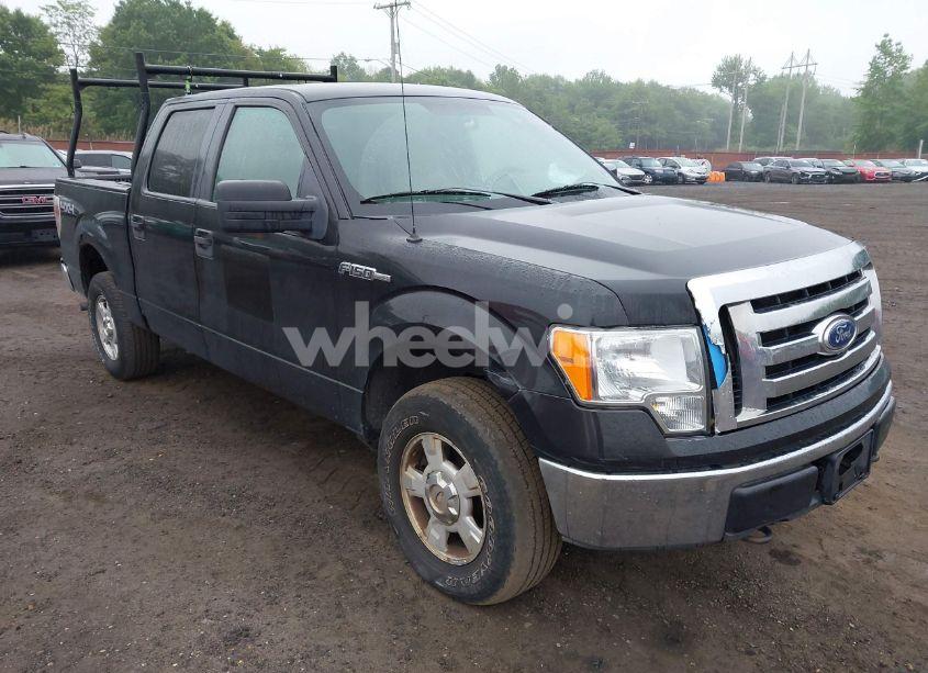 Photo 6 of 2010 Ford F-150 XL/XLT (VIN 1FTEW1E84AFA54957)