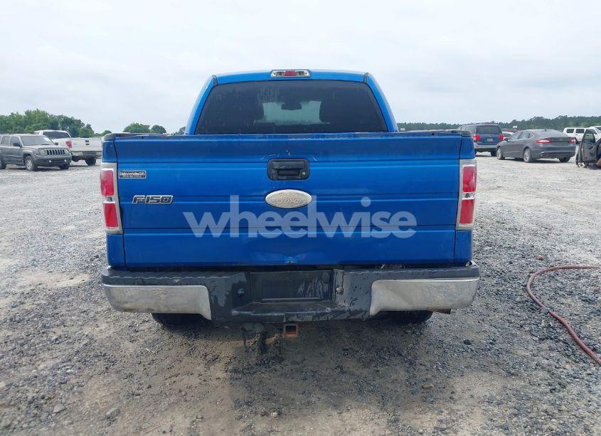 Photo 16 of 2010 Ford F-150 XL/XLT (VIN 1FTEW1E84AFD74053)