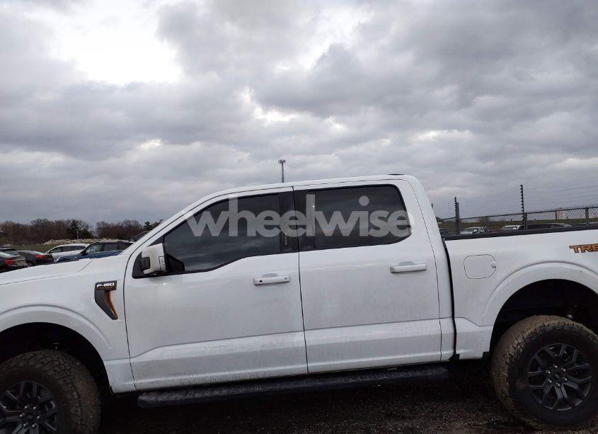 Photo 14 of 2023 Ford F-150 TREMOR (VIN 1FTEW1E84PFA18646)