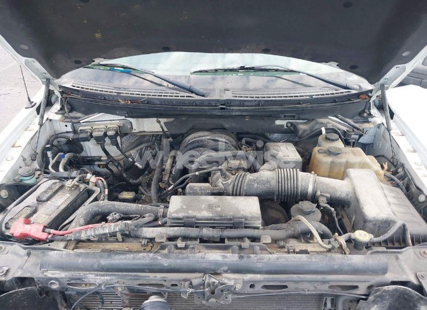 Photo 10 of 2010 Ford F-150 XL/XLT (VIN 1FTEW1E85AFC52527)