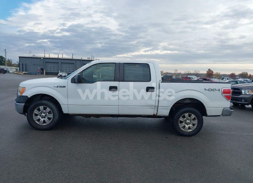 Photo 14 of 2010 Ford F-150 XL/XLT (VIN 1FTEW1E85AFC52527)