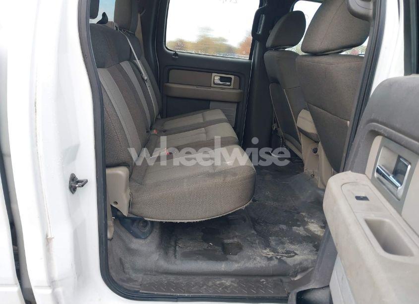 Photo 8 of 2010 Ford F-150 XL/XLT (VIN 1FTEW1E85AFC52527)