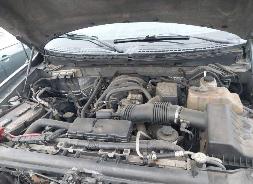 Photo 10 of 2010 Ford F-150 XLT (VIN 1FTEW1E85AFC53628)