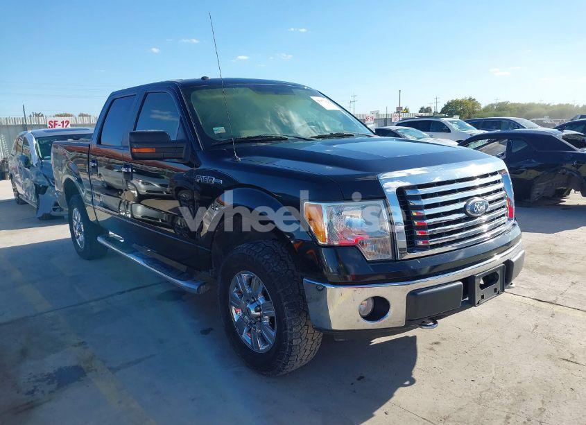 2010 Ford F-150 XL/XLT (VIN 1FTEW1E85AFD65684) main photo